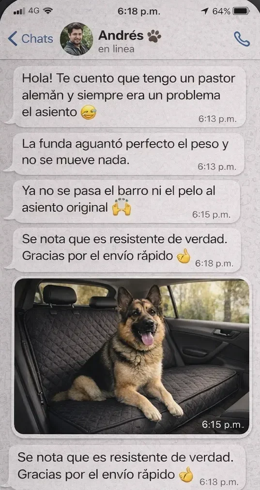 ChatGPT Image Feb 15, 2026, 07_28_43 PM_11zon